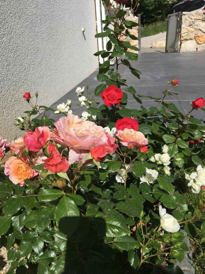 Mandy Apartman باشْكا المظهر الخارجي الصورة